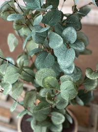 Garden Eucalyptus Greenery Collection