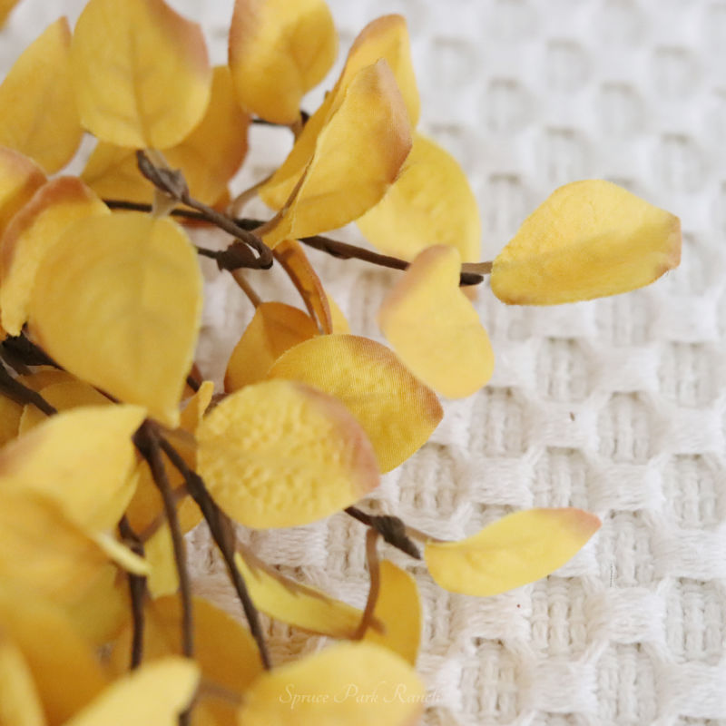 Light Yellow Eucalyptus Greenery Collection