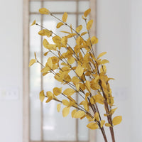 Light Yellow Eucalyptus Greenery Collection