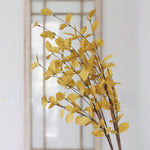 Light Yellow Eucalyptus Greenery Collection