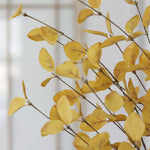 Light Yellow Eucalyptus Greenery Collection