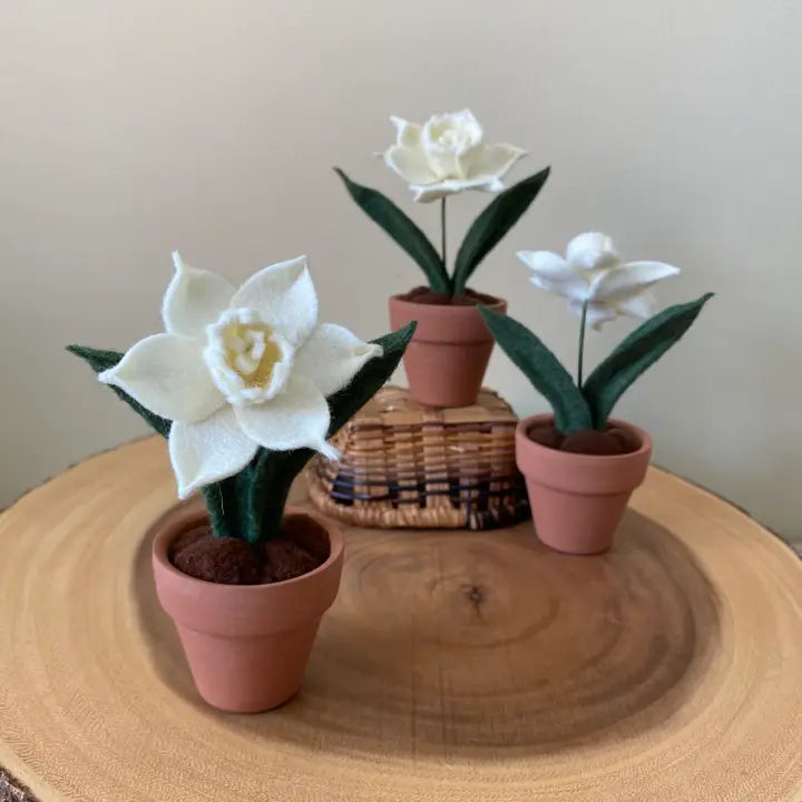 Mini Narcissus Felt Forever Flower