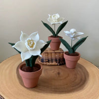Mini Narcissus Felt Forever Flower