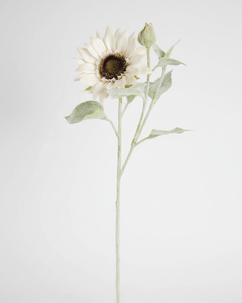 White Bloom and Blossom Sunflower Stem 18"