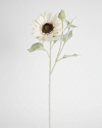 White Bloom and Blossom Sunflower Stem 18"