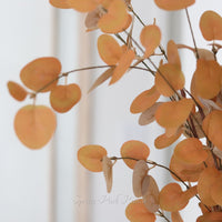 Rust and Dark Yellow Eucalyptus Greenery Collection