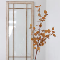 Rust and Dark Yellow Eucalyptus Greenery Collection