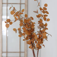 Rust and Dark Yellow Eucalyptus Greenery Collection