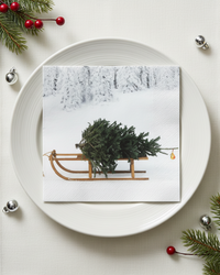 Christmas Paper Napkins