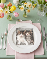 Spring and Summer Paper Napkins