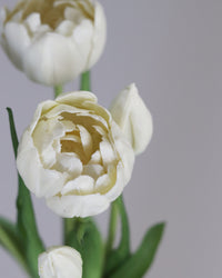 Peony and Tulip Bundle White Real Touch 18"