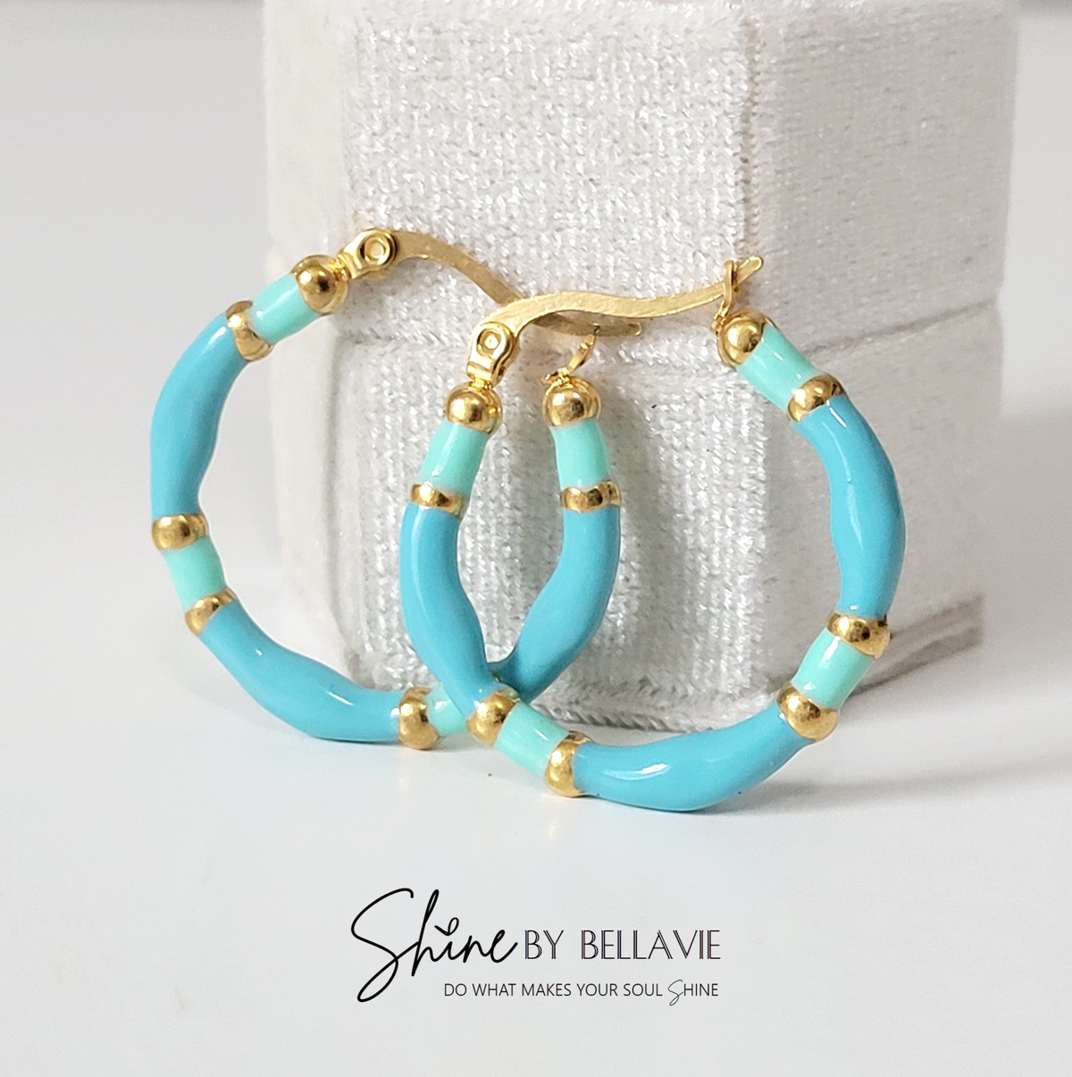 Taylor Enamel Hoop Earrings
