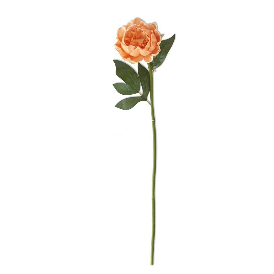 Peony Stem Real Touch 20”