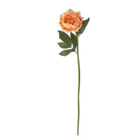 Peony Stem Real Touch 20”