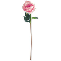 Peony Stem Real Touch 20”