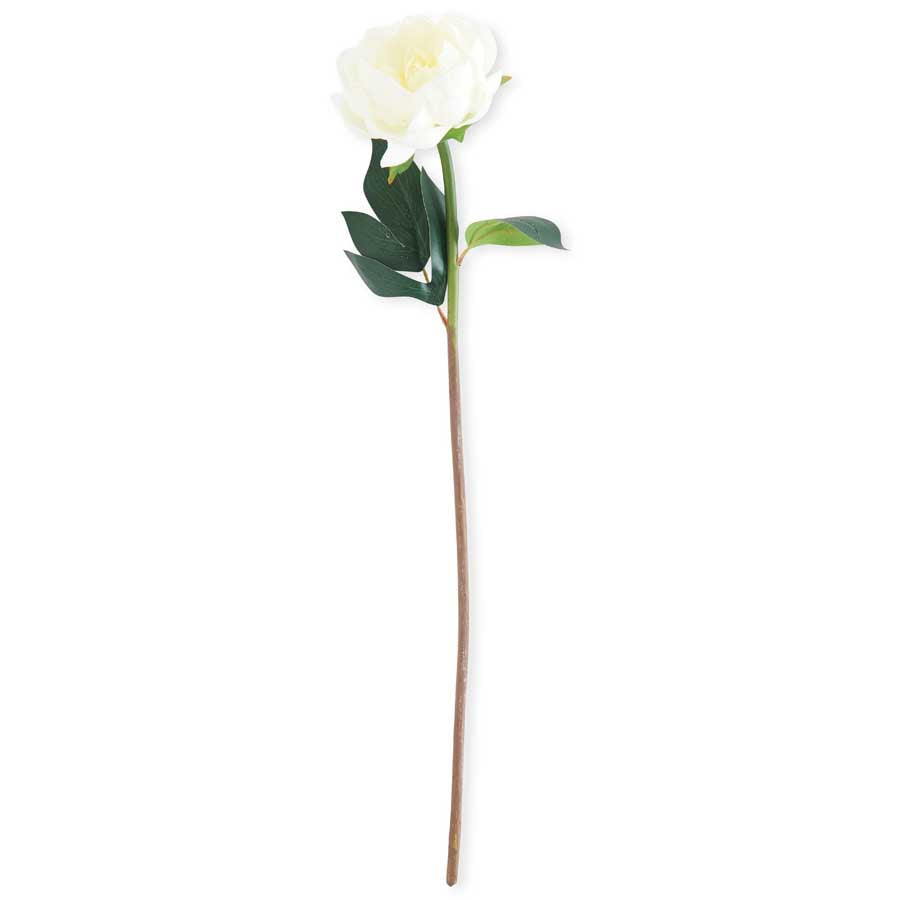 Peony Stem Real Touch 20”