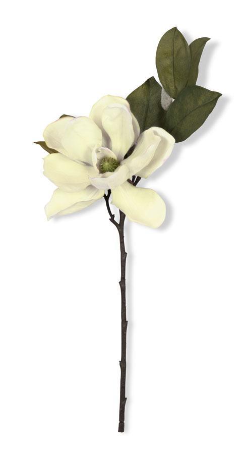 Cream Magnolia Spray 23”