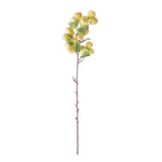 Pear Stem 30”