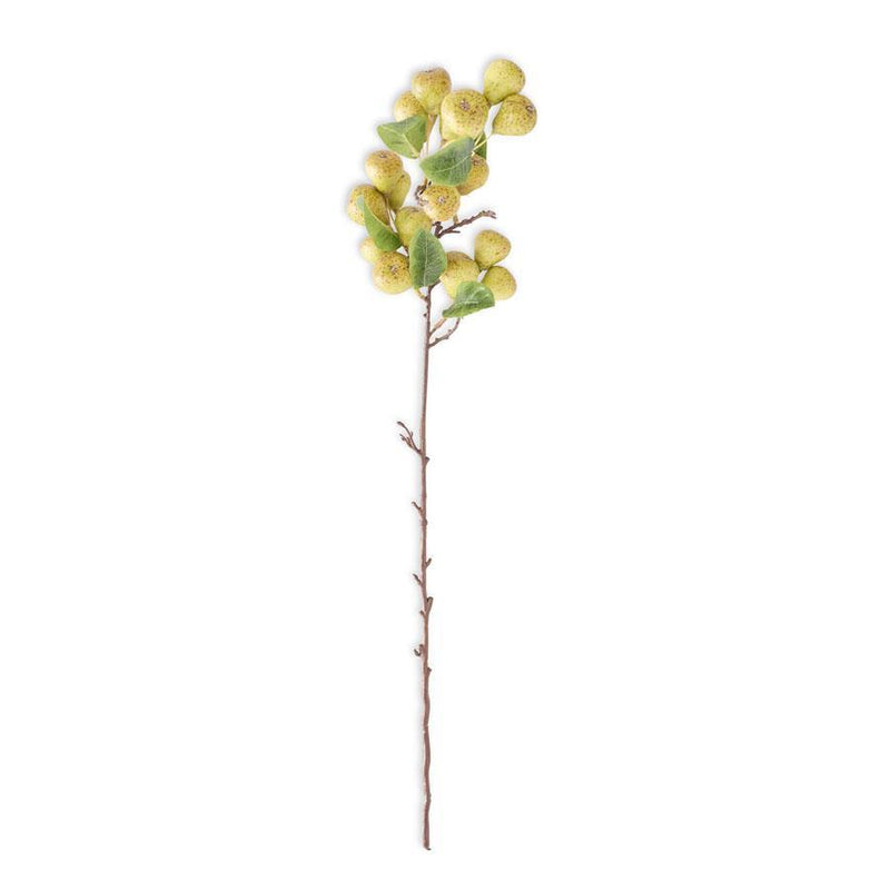 Pear Stem 30”