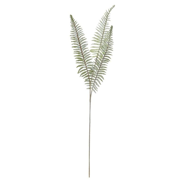 Boston Fern Pick 36"