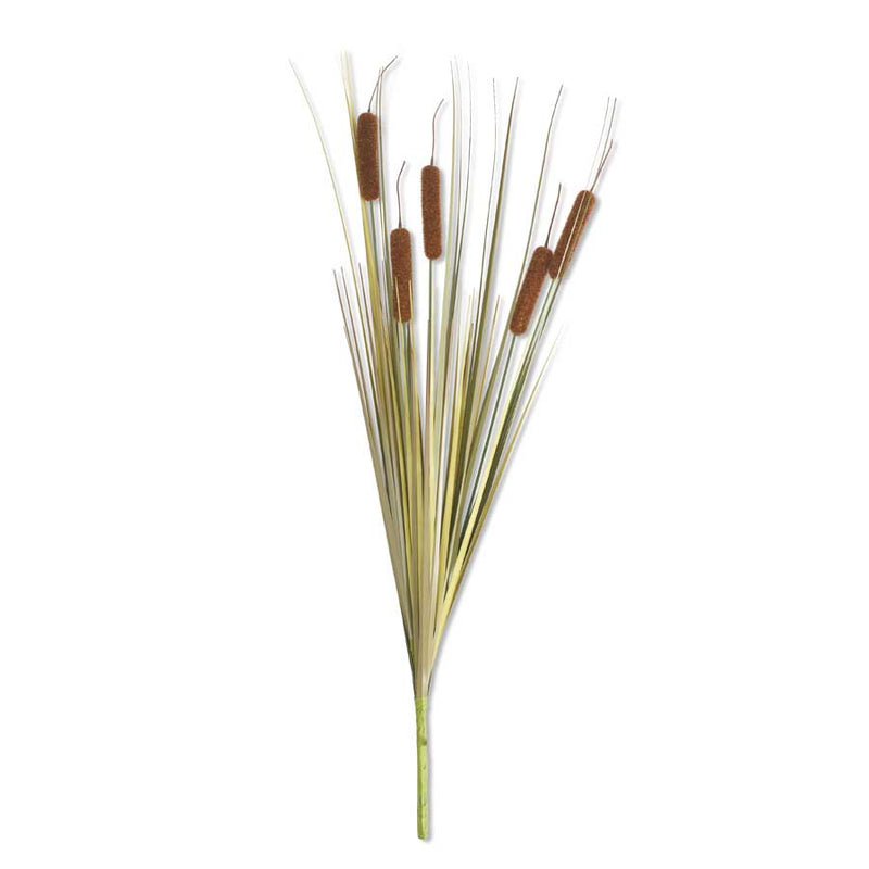 Cattail Stem
