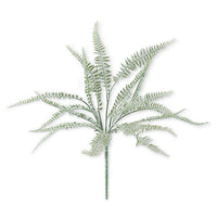 Powdered Fern Bush 20"