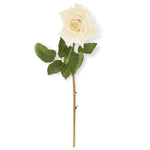 Duchess Rose White Stem Real Touch 25”