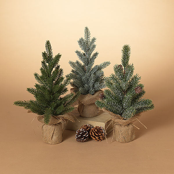 Pine Tree with Burlap Base