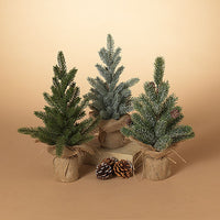 Pine Tree with Burlap Base