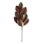 Brown Magnolia Leaf Stem 24"