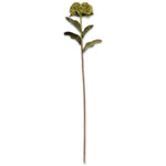Sedum Stem 20"