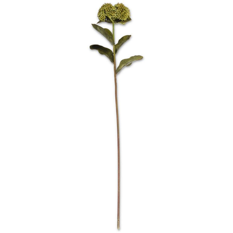 Sedum Stem 20"
