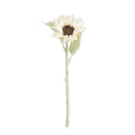 White Sunflower Stem