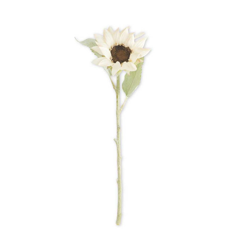 White Sunflower Stem