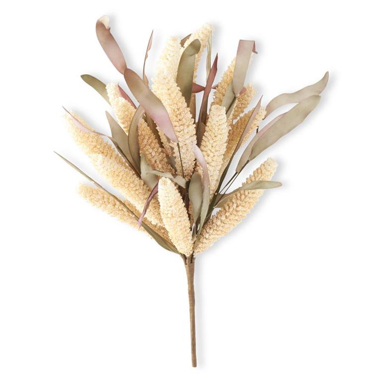 Rice Bush With Eva Leaves