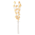 Cream Chinese Lantern Bundle 28.5"