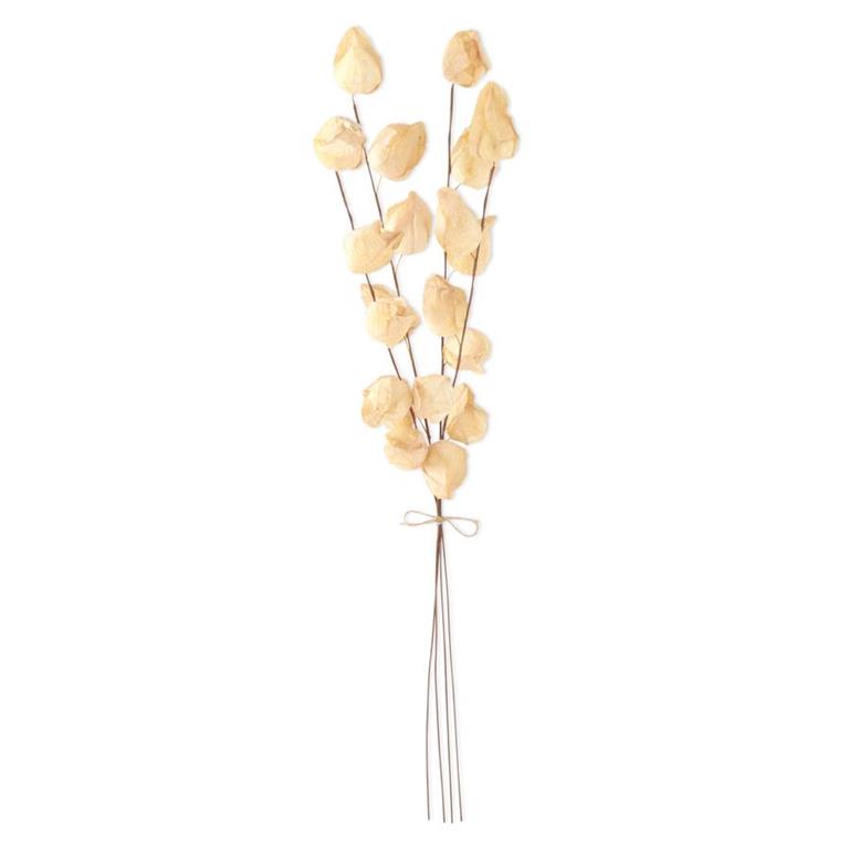 Cream Chinese Lantern Bundle 28.5"