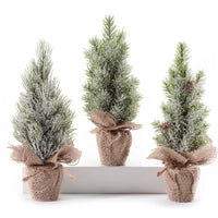 Mini Potted Pine