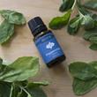 Essential Oils Airome