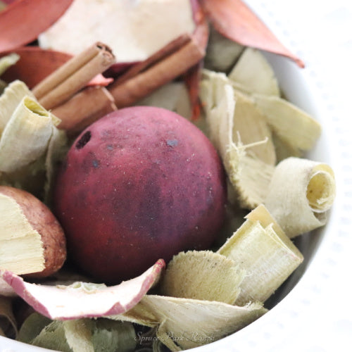 Aromatique Cinnamon Cider Collection