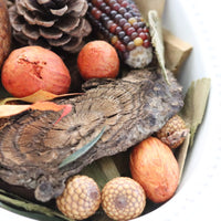 Aromatique Pumpkin Spice Collection