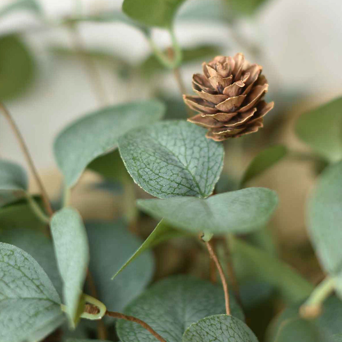 Cone Dashed Eucalyptus Candle Ring