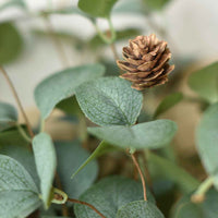 Cone Dashed Eucalyptus Candle Ring