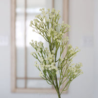 Cream Baby's Breath Real Touch Spray 25”