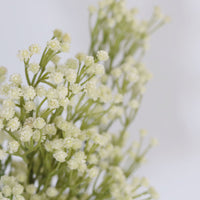 Cream Baby's Breath Real Touch Spray 25”