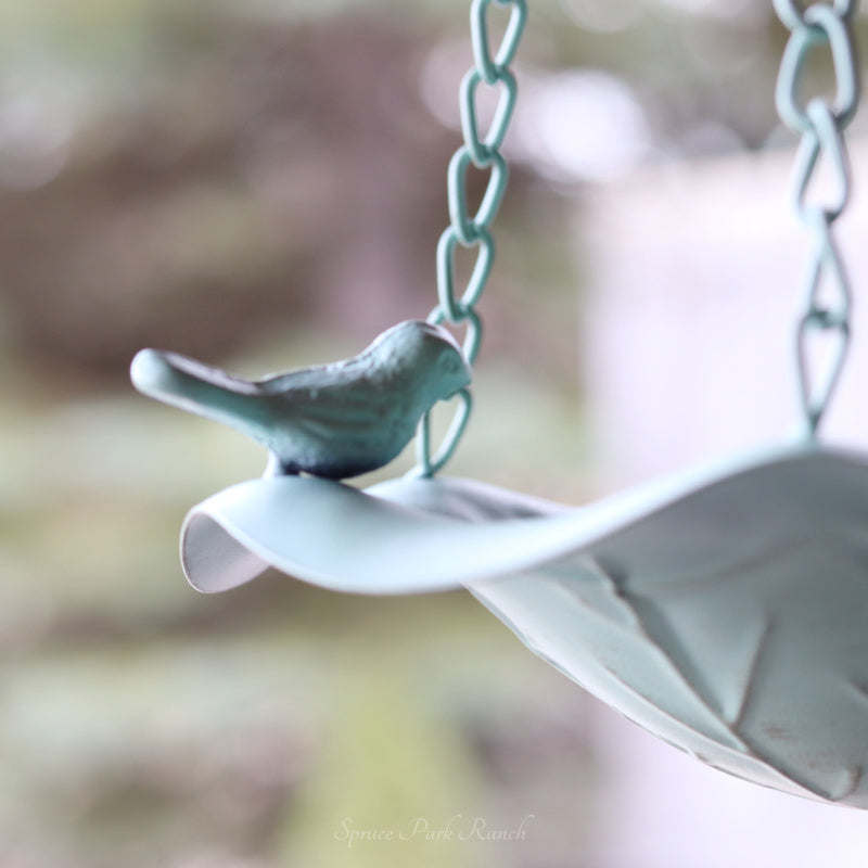 Hanging Bird Feeder Teal