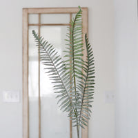 Boston Fern Pick 36"