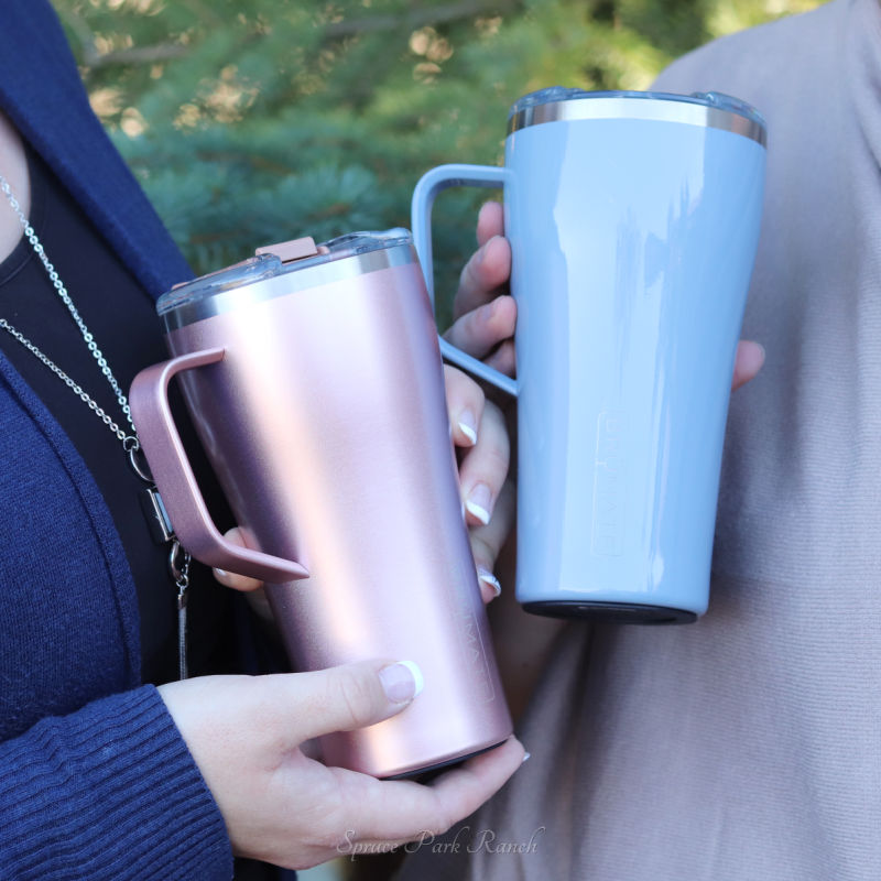 Brumate Toddy 22oz Mug