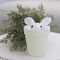 Bunny in Flower Pot