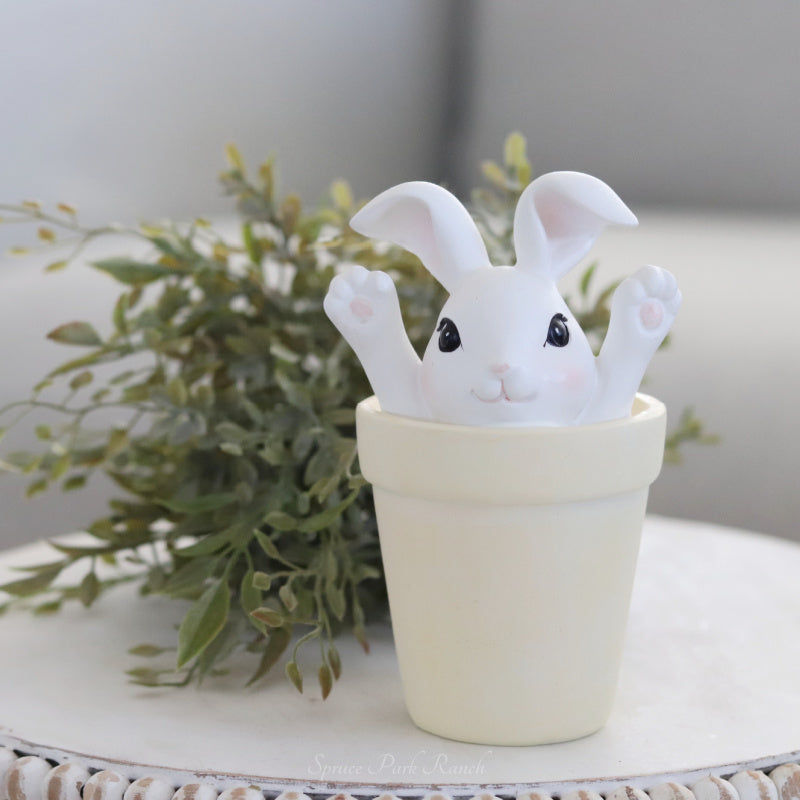 Bunny in Flower Pot